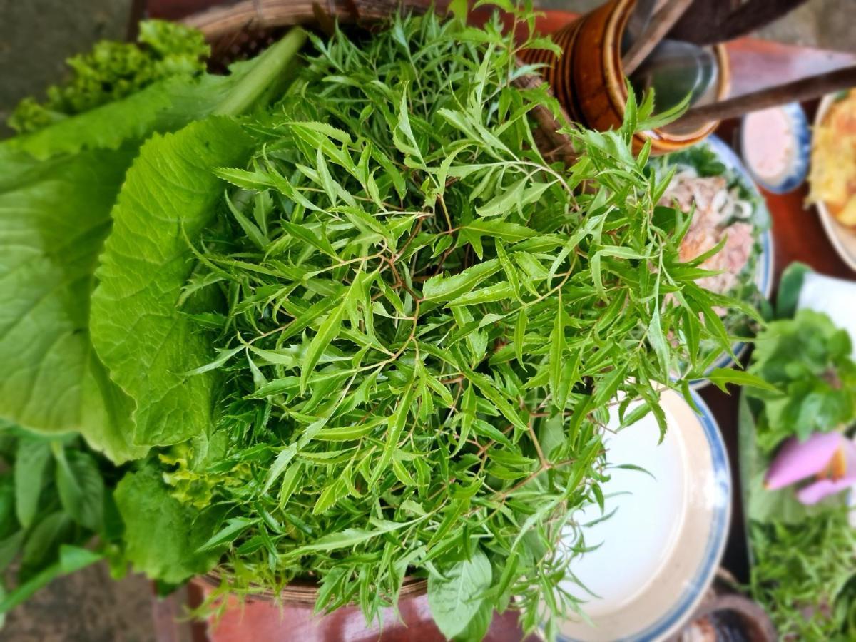 Ba Danh Homestay & Kitchen - Ben Tre Mekong Екстериор снимка