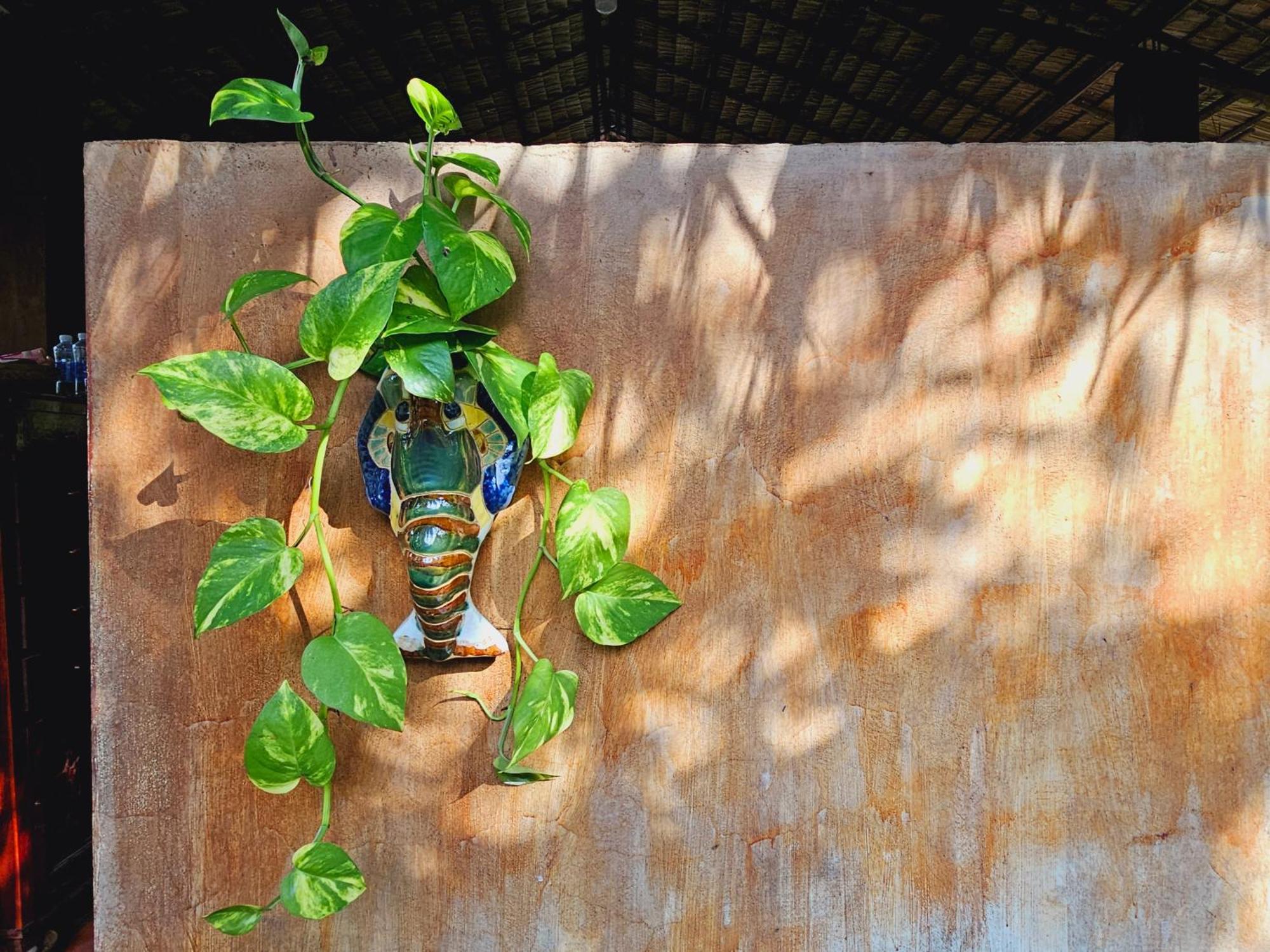 Ba Danh Homestay & Kitchen - Ben Tre Mekong Екстериор снимка