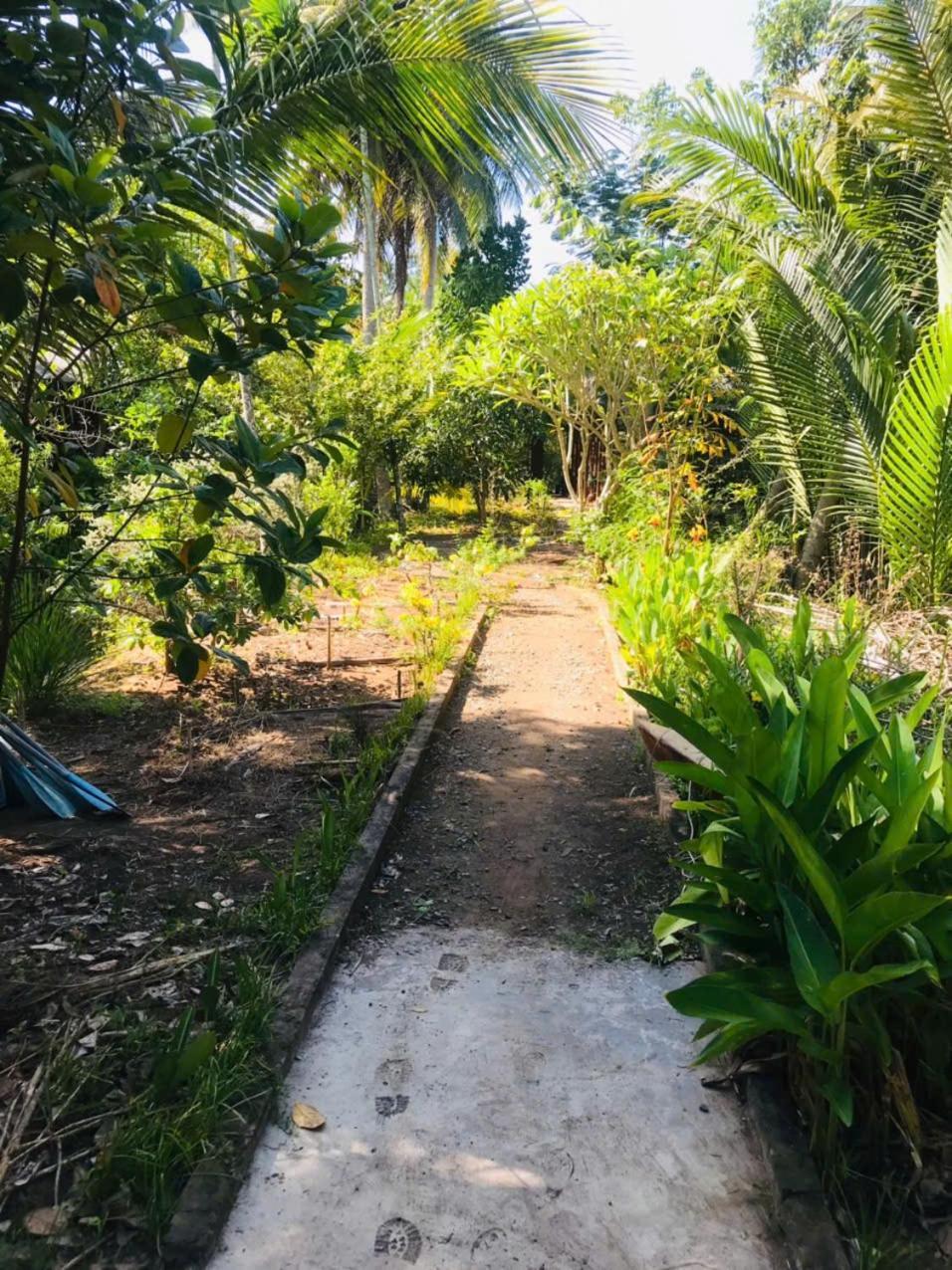 Ba Danh Homestay & Kitchen - Ben Tre Mekong Екстериор снимка