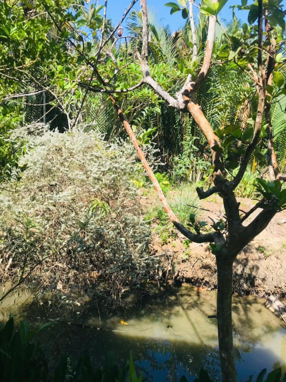 Ba Danh Homestay & Kitchen - Ben Tre Mekong Екстериор снимка