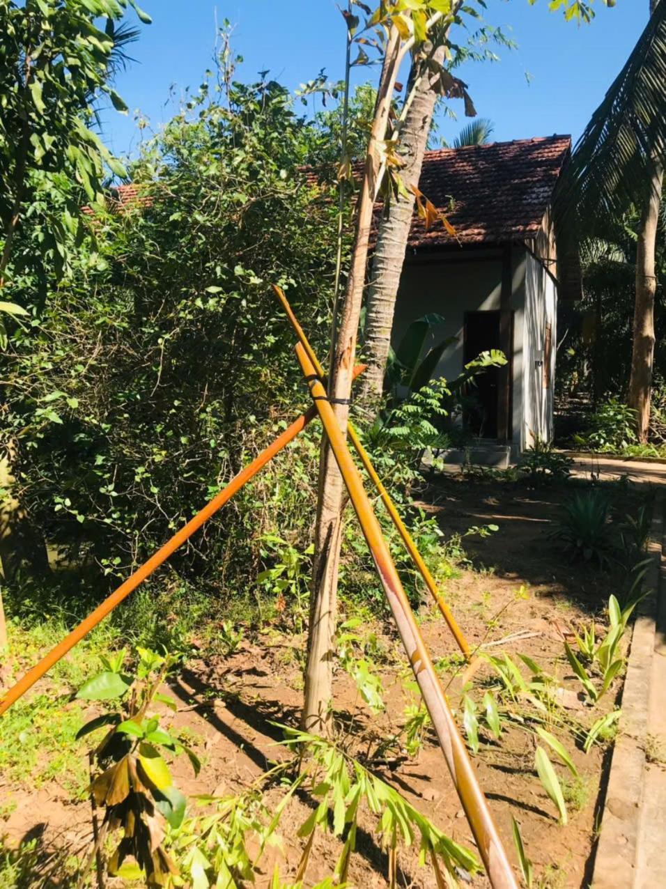 Ba Danh Homestay & Kitchen - Ben Tre Mekong Екстериор снимка