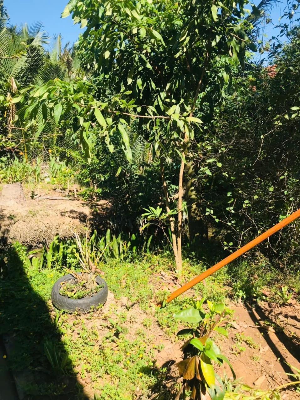 Ba Danh Homestay & Kitchen - Ben Tre Mekong Екстериор снимка
